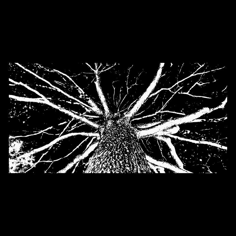 Art de l’arbre