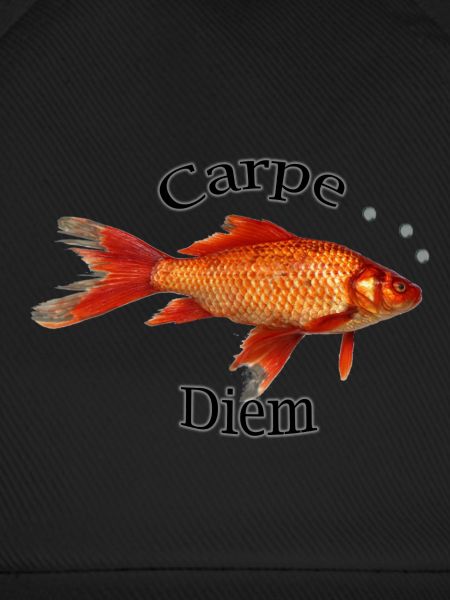 Carpe Diem !
