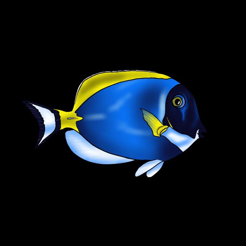 Leucosternon Surgeonfish