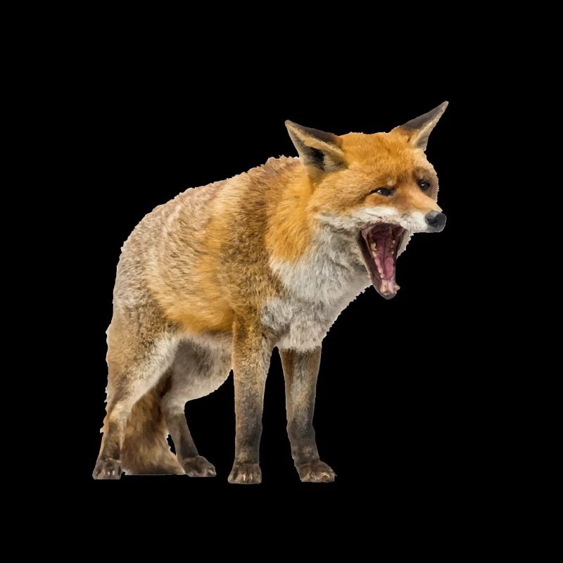 Fuchs
