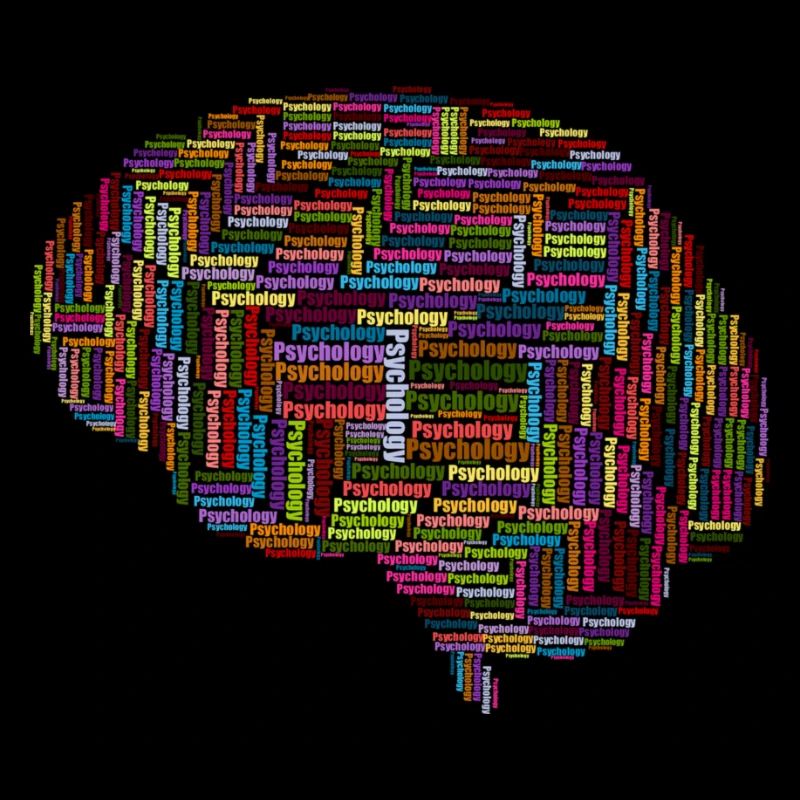 Brain Psychology
