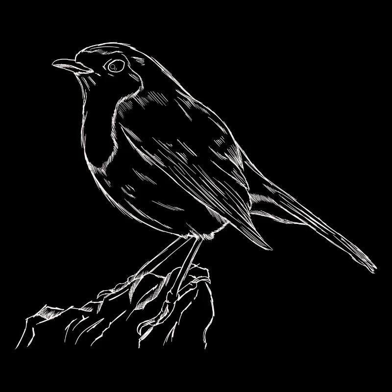 Das Rotkehlchen Singvogel Naturschutz