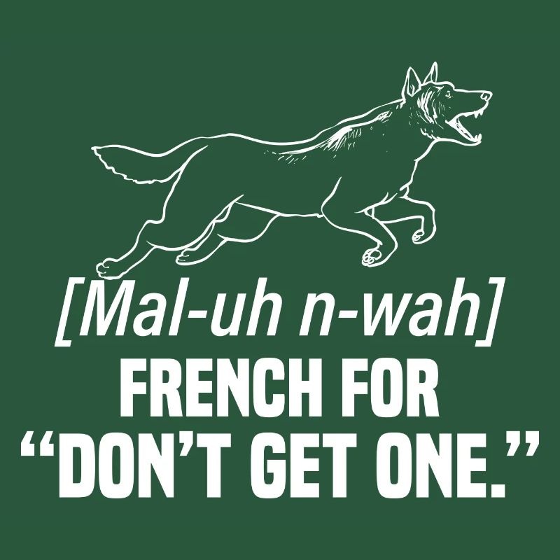 Malinois Belgian Shepherd Mechelaar Dog