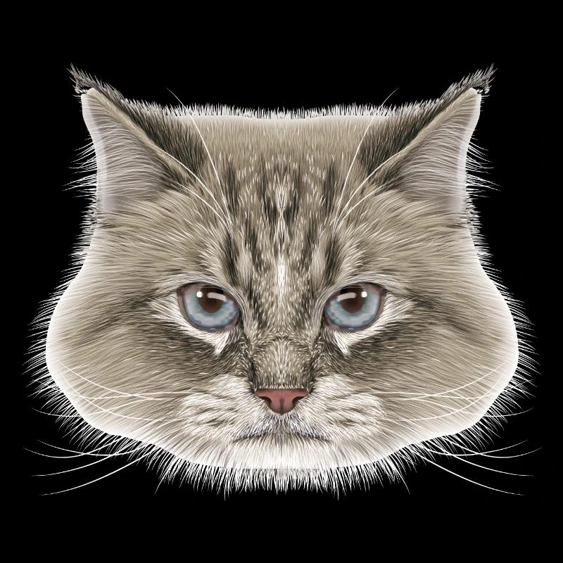 Sibirische Katze 