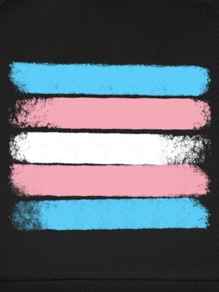 Trans Pride Strokes