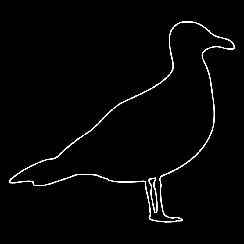 Möwe, Vögel, Taube,