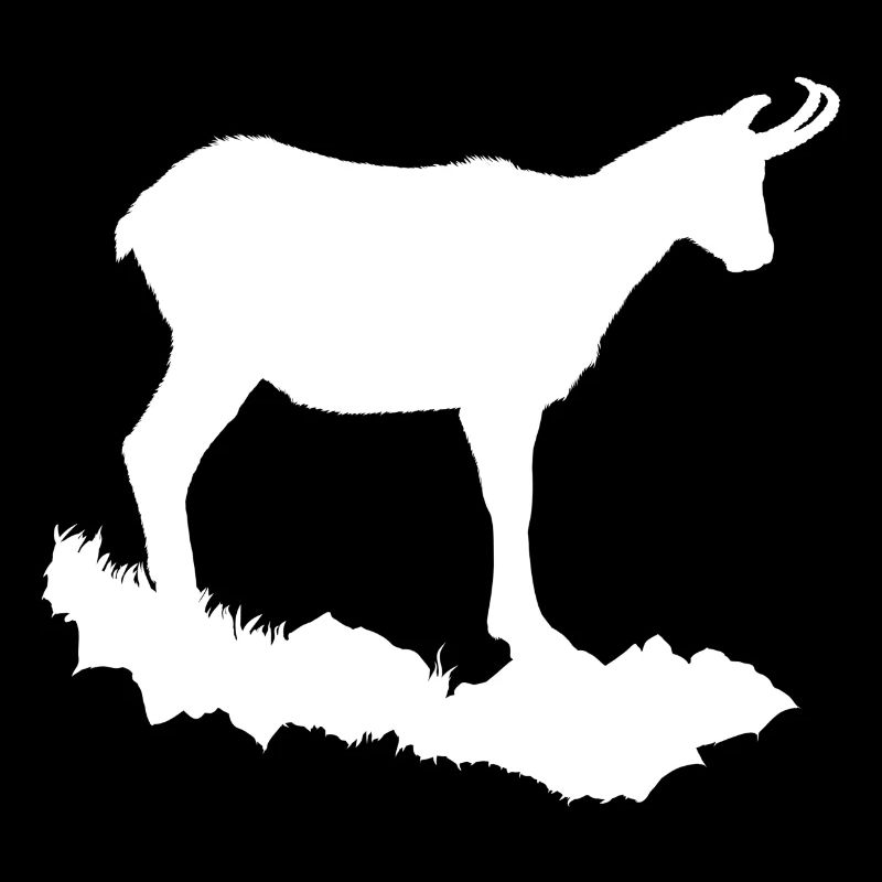 Chamois