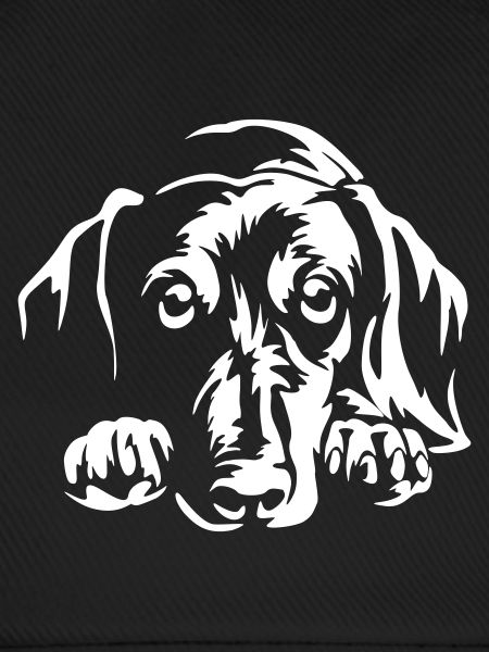Dachshund "Black Edition"