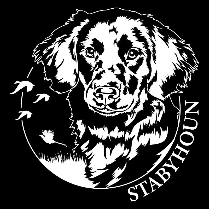 Stabyhoun Jagdhund Jäger Jagdhunde Jagd Wilsigns