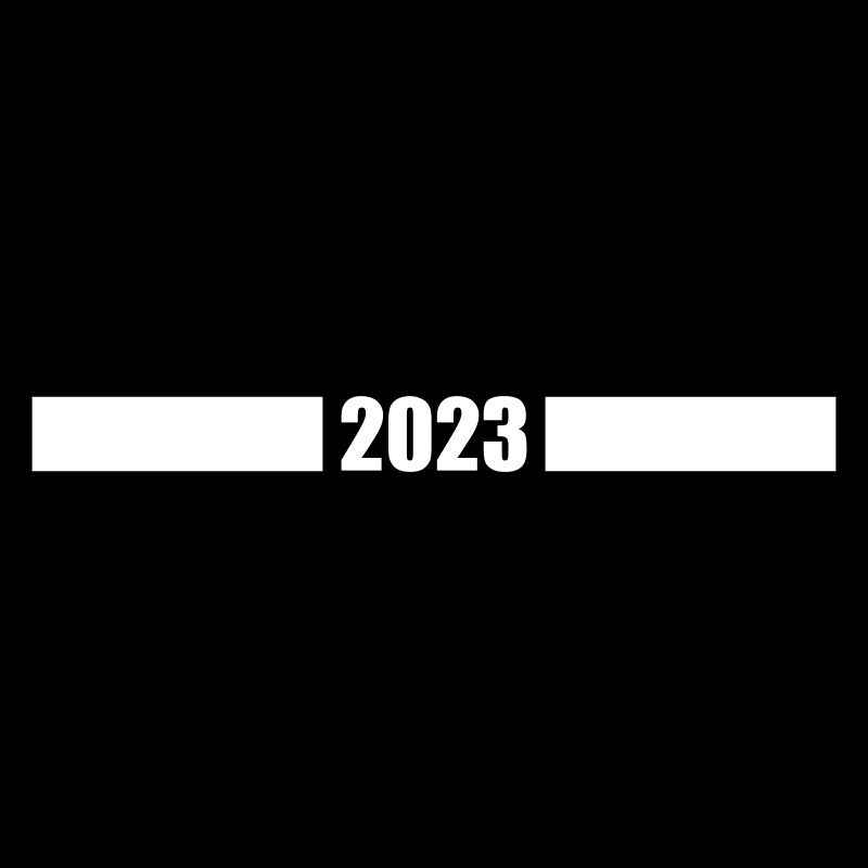2023 year