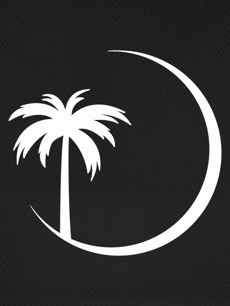 Palm tree in circle silhouette