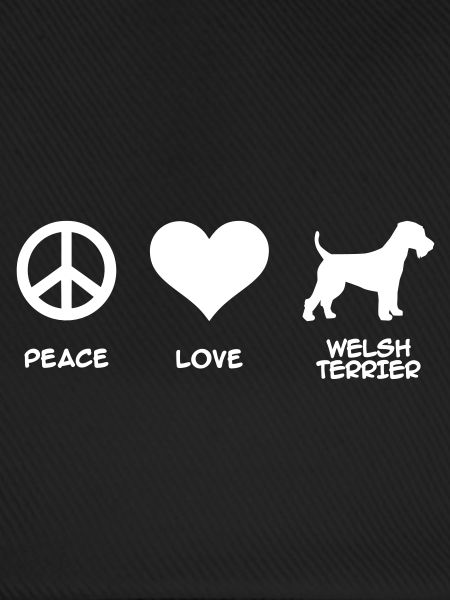 Welsh Terrier