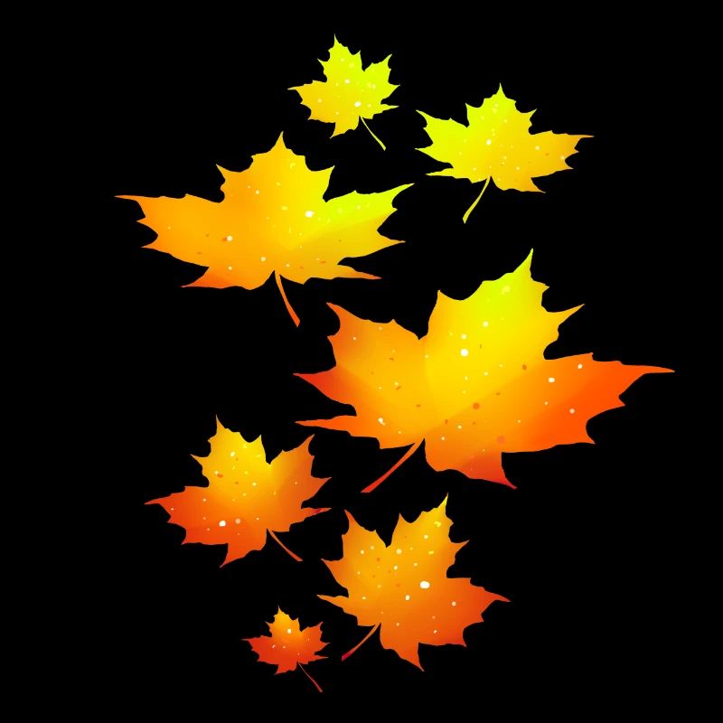 Feuilles d’automne feuilles feuilles feuilles