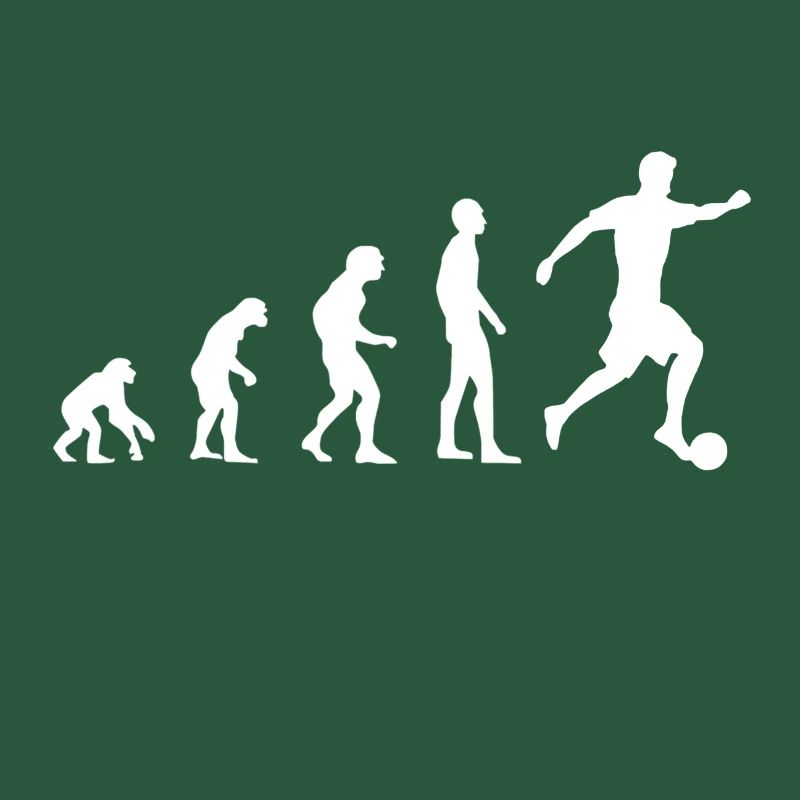 Fussball Evolution
