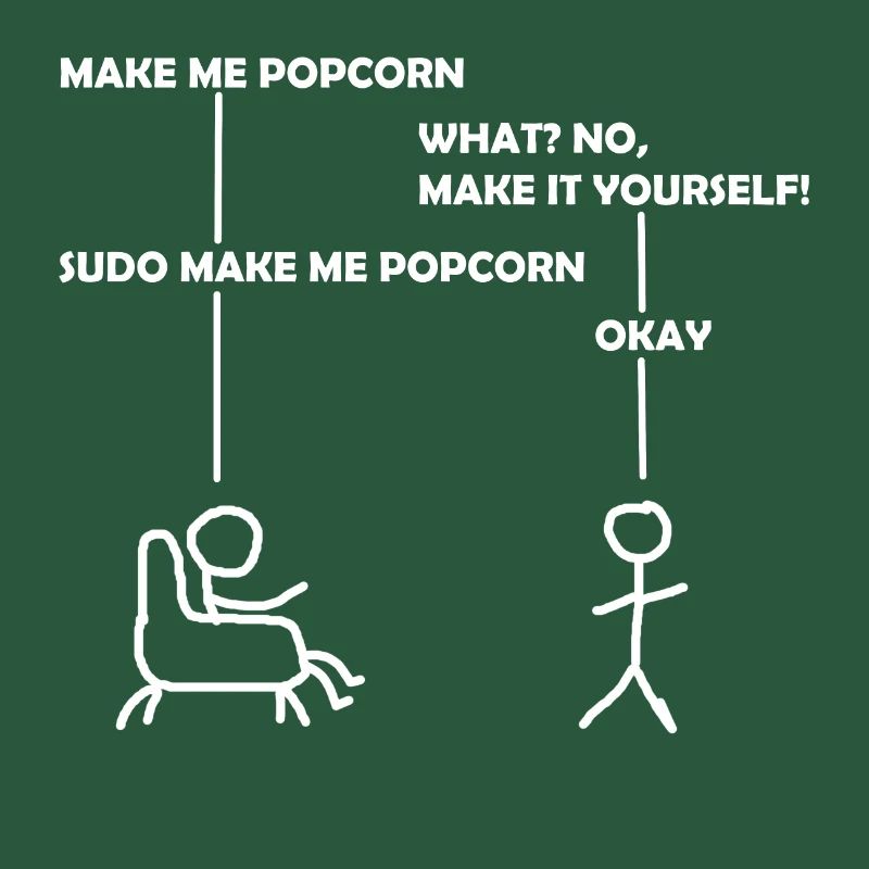 programmeur sudo informatique