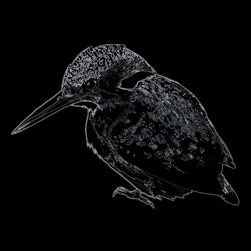 Eisvogel