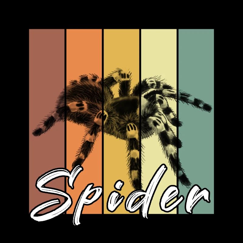 Spinne