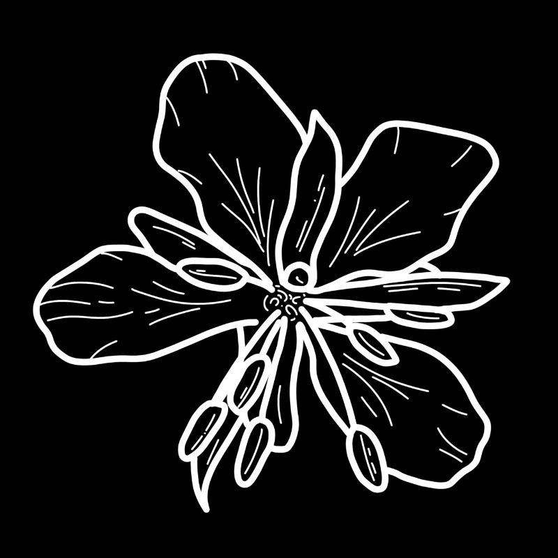 Weidenrose minimalistisch
