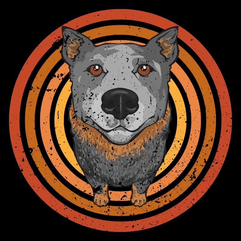 Bouvier australien Red Blue Heeler