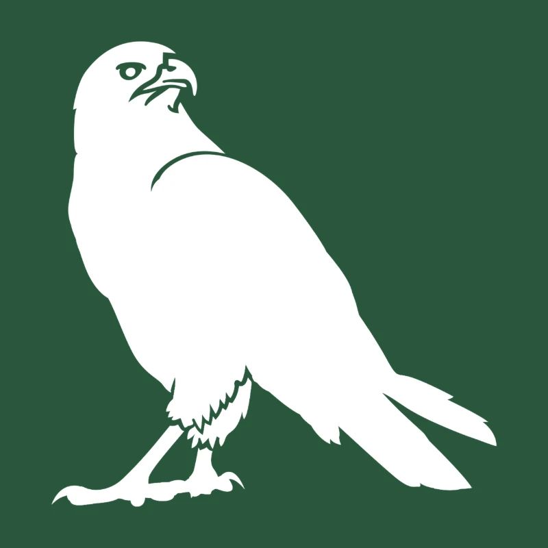 faune, aigle, buse, faune, oiseaux, oiseau, zoo