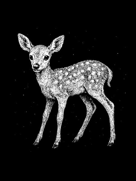Fawn