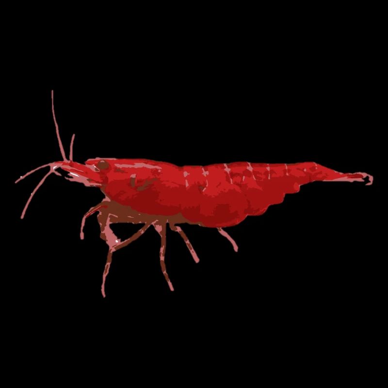 Shrimp Red Fire
