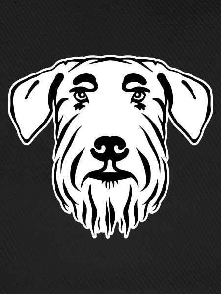 Schnauzer géant