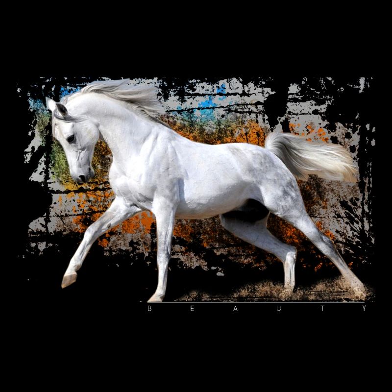 pferd
