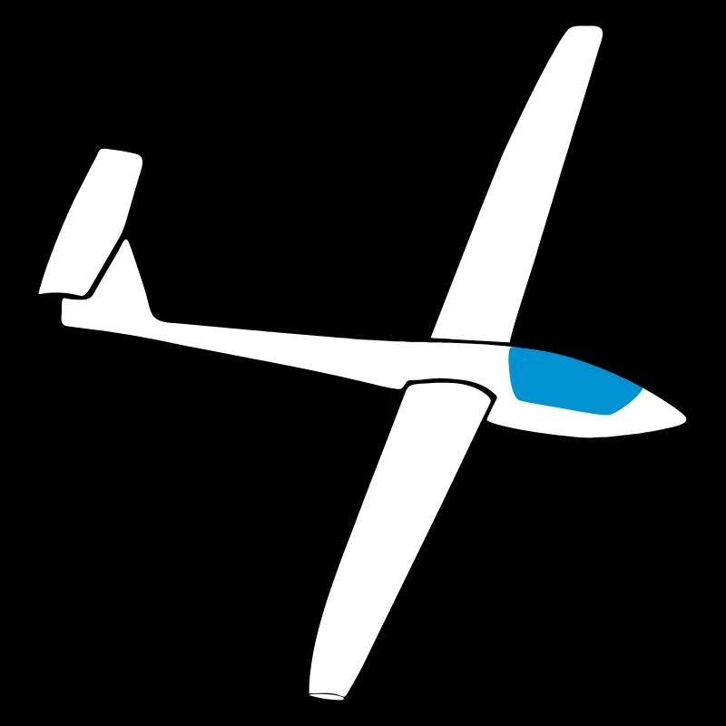 Glider Training Astir Coarse Gift Pilot