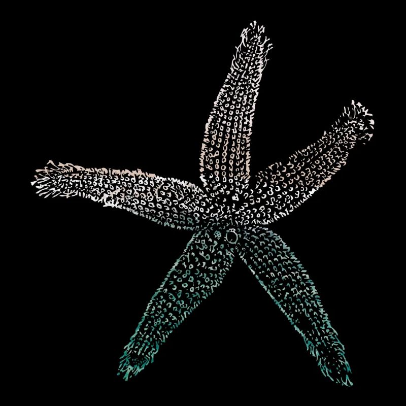 étoile de mer