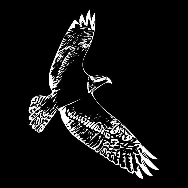 Hawk in flight