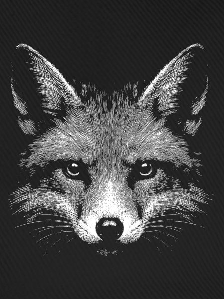Renard roux
