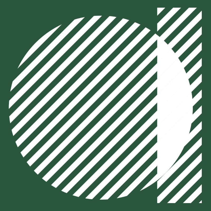 Geometric Stripe Circles Monochrome Pattern