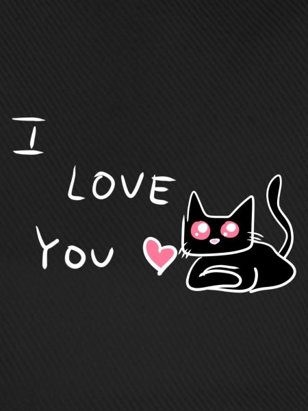 ich liebe dich katze tier