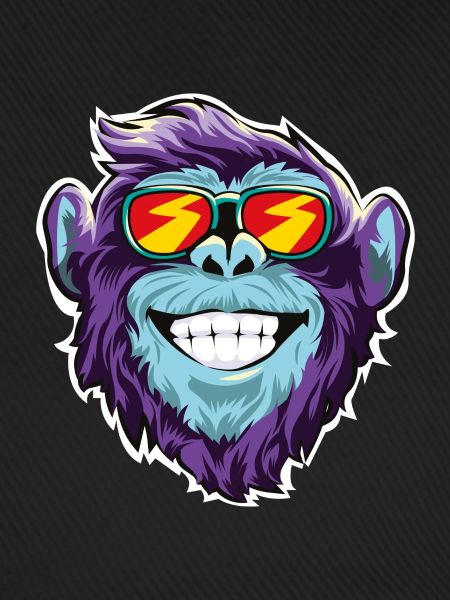 Monkey sunglasses head face