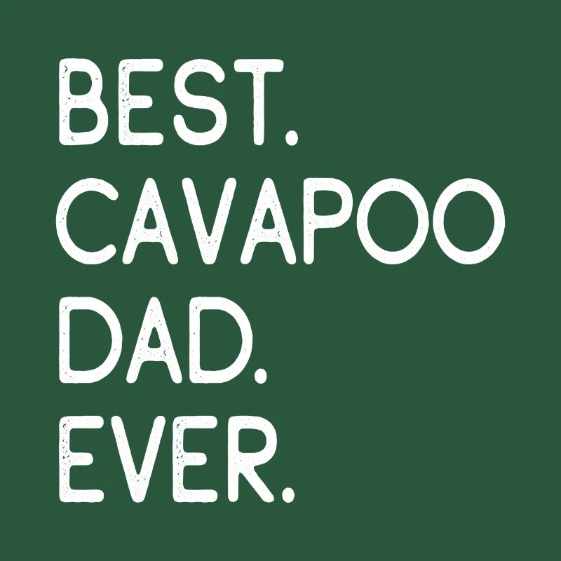 Cavapoo Cavoodle