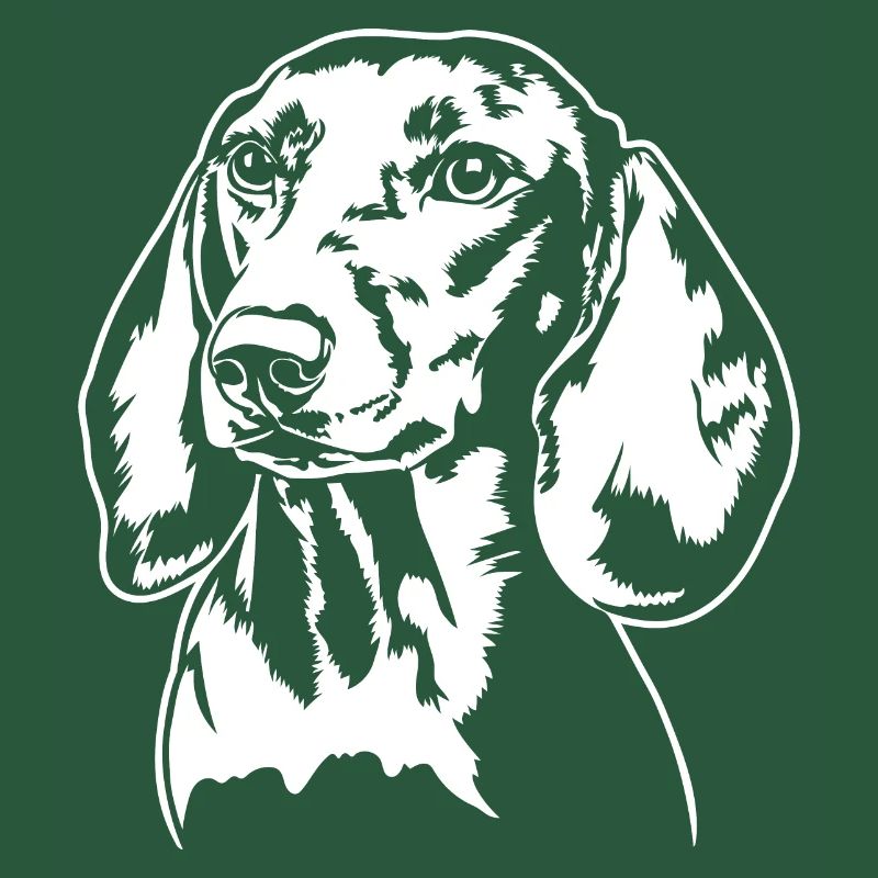 Dackel Dachshund Teckel Hundeportrait Hunde