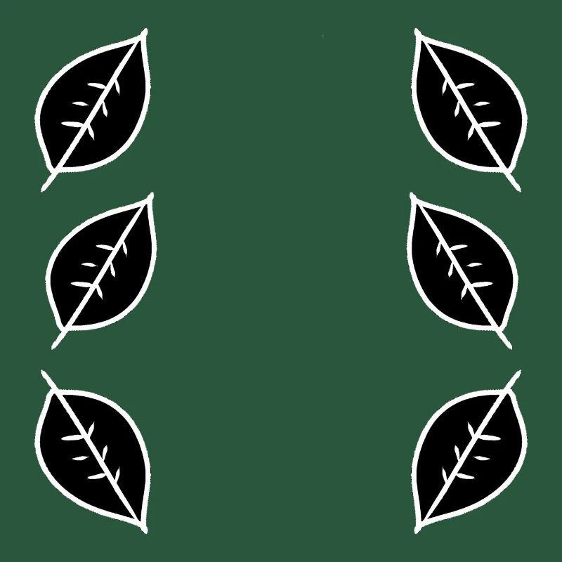 Pattern Leaf Leaves Frame Nature