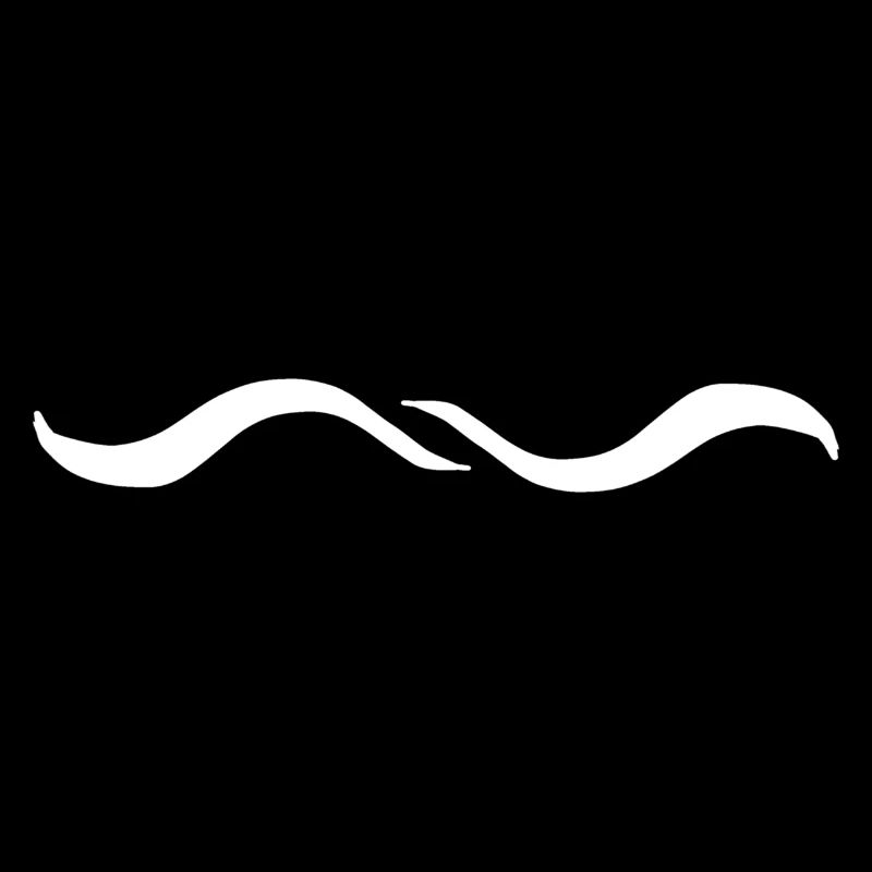 Two Wave Wave Line