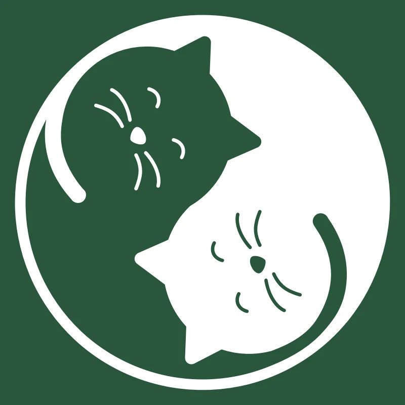 Katze