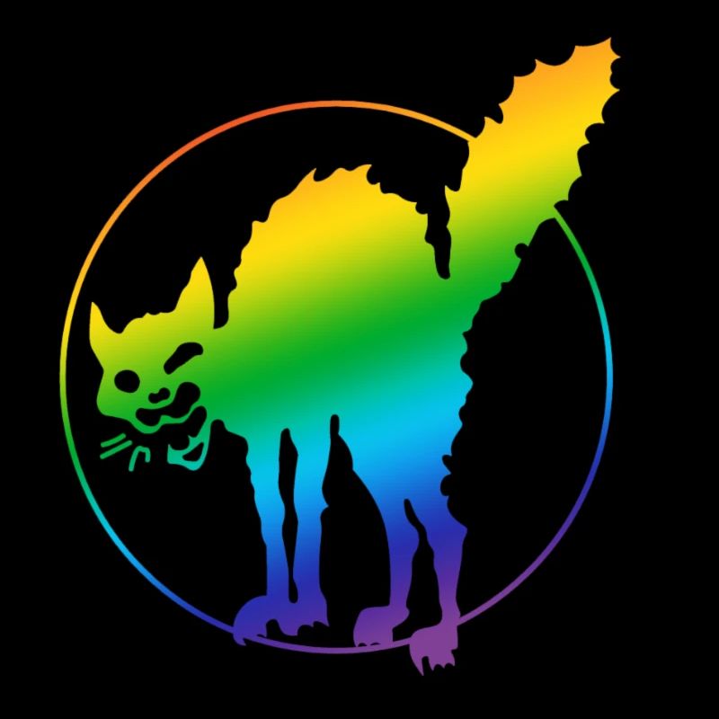 Anarchy Cat LGBT