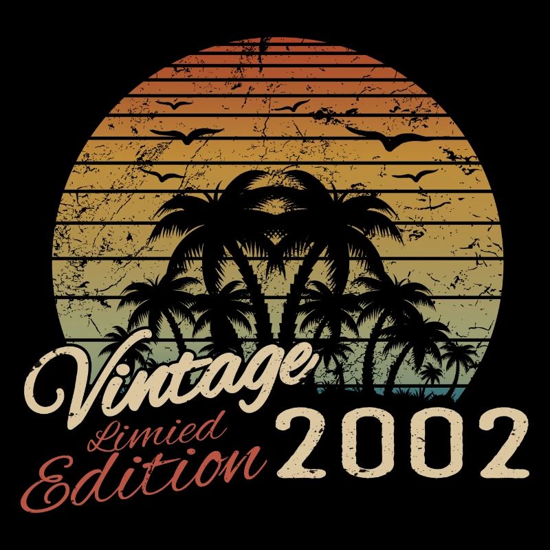 Vintage 2002 Birthday Gift 2002 Retro 2002
