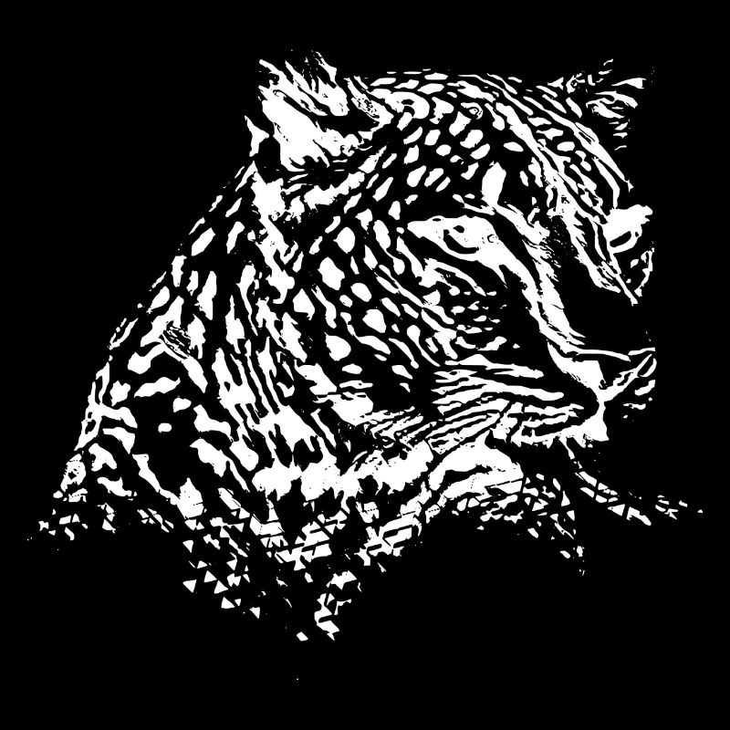 leopard