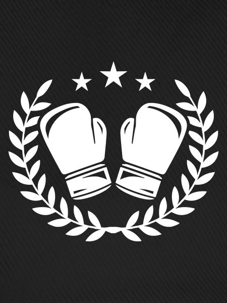 Boxhandschuhe Boxen
