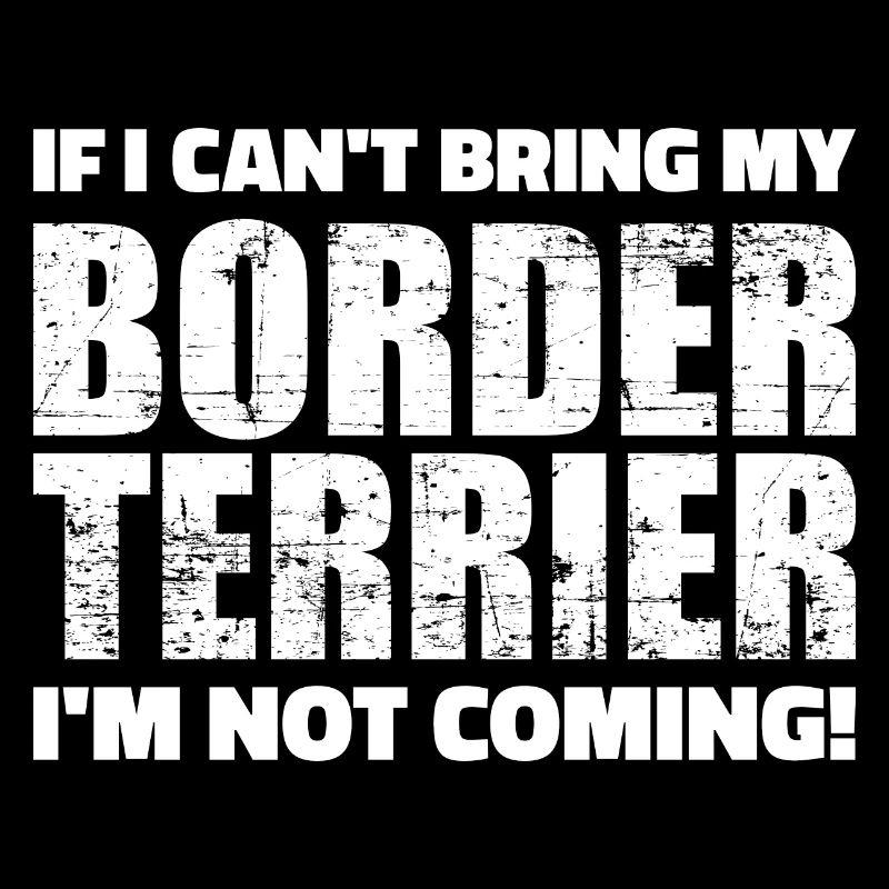 Border Terrier