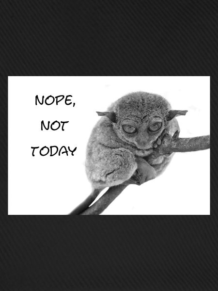 Nope, not today