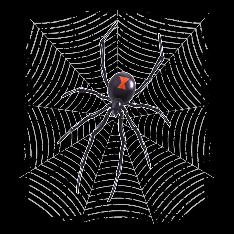 Araignée sur le web