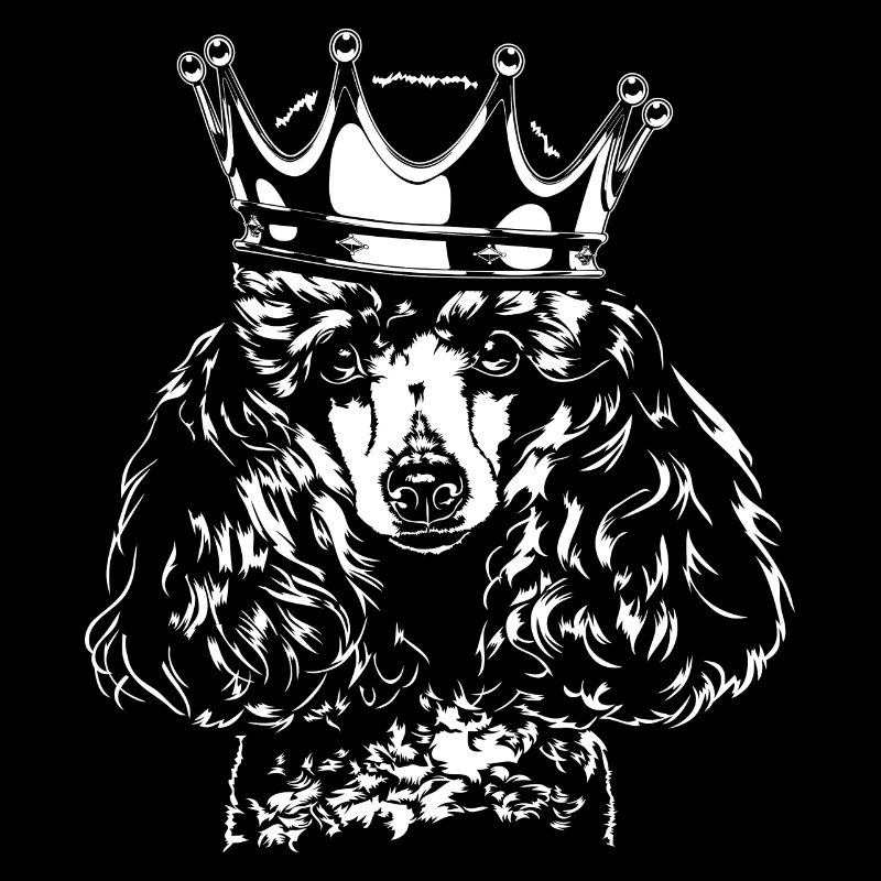 Miniature Poodle Dwarf Poodle Crown Dogs Wilsigns