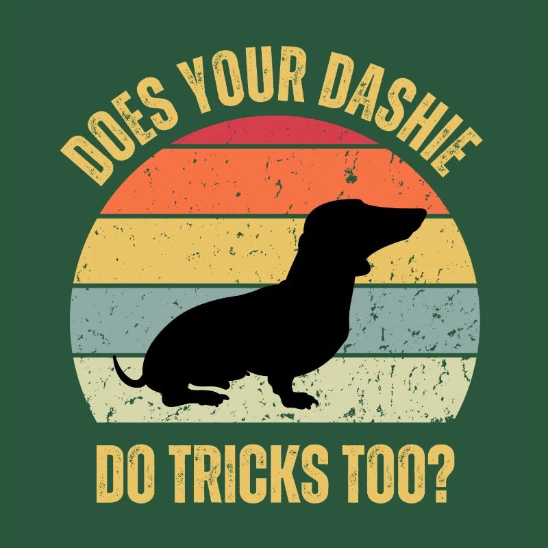 Does Your Dachshund Weiner Do Tricks Too