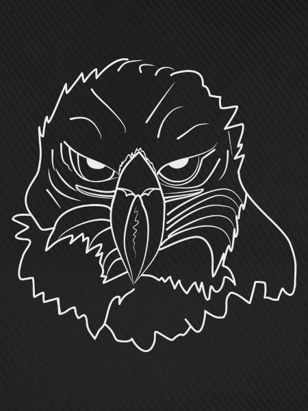 Eagle head